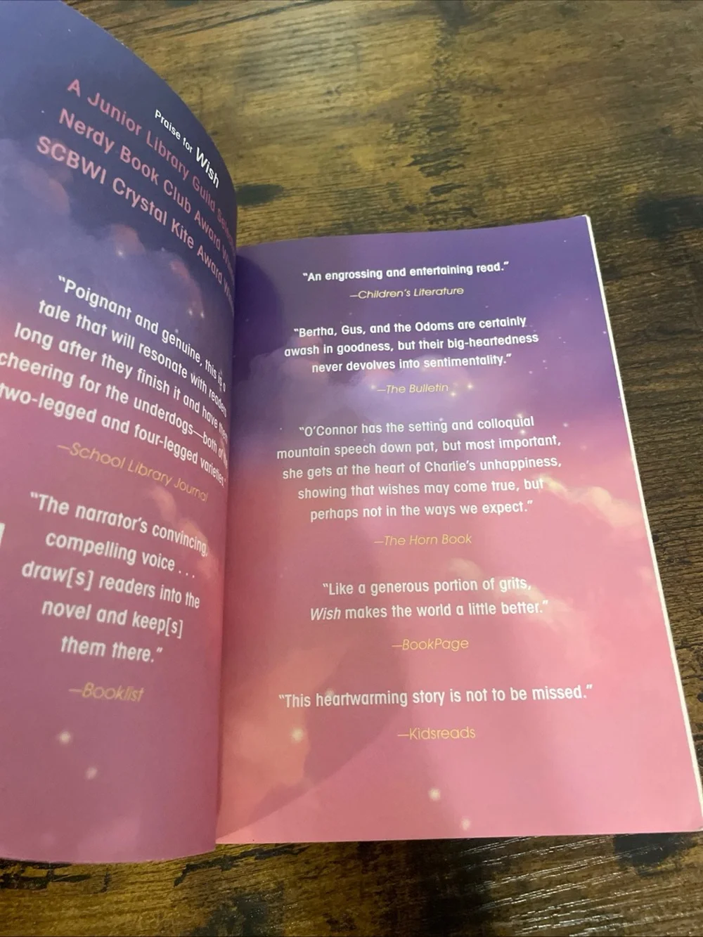 Wish By Barbara O'Connor~ Preowned